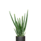 Ø:10,5 H:35 cm