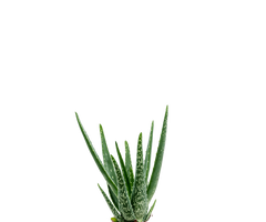 Konfigurator