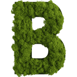 Islandmoos Piktogramm Buchstabe