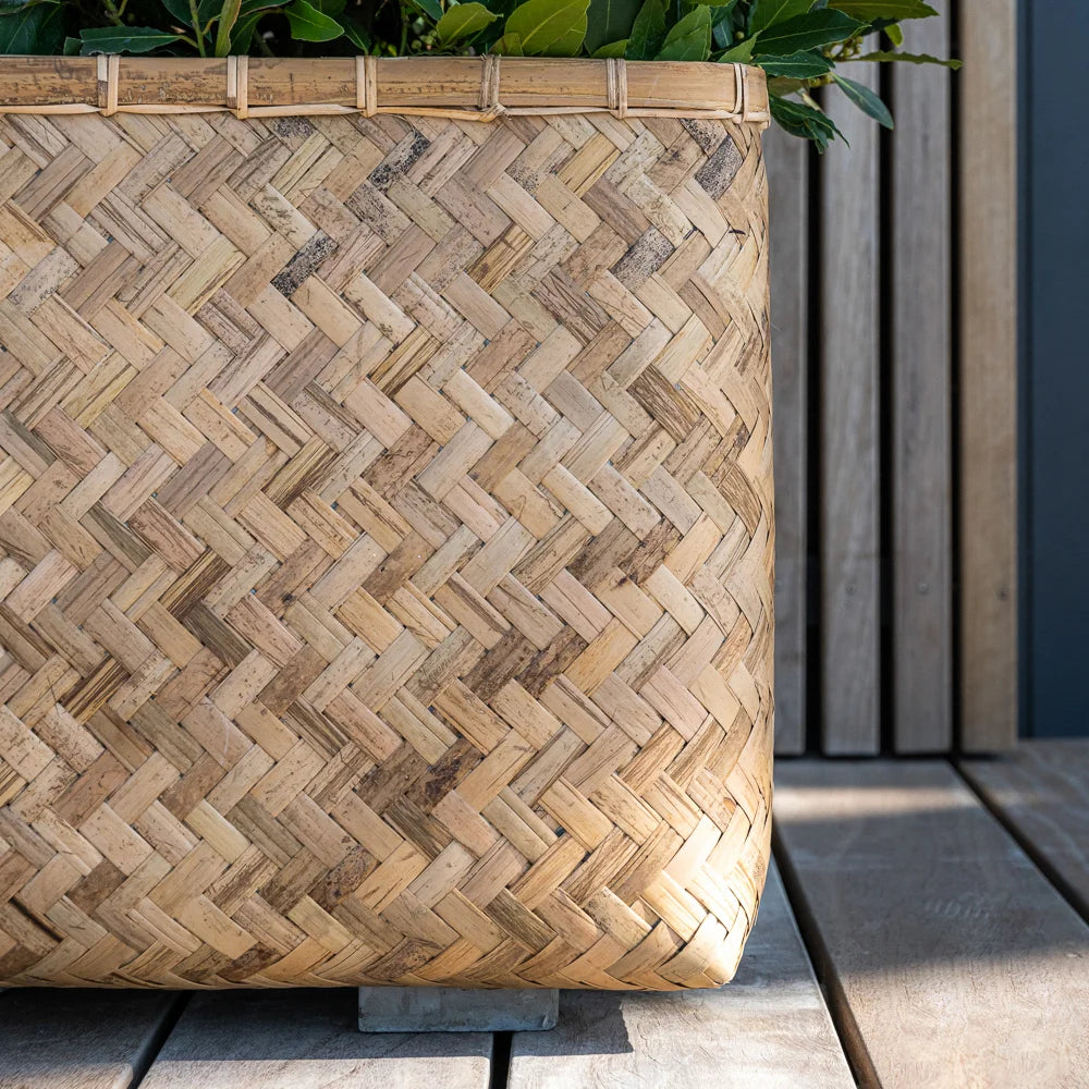 Nahaufnahme Pflanzkübel aus Bambus in Grau