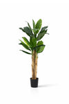 Bananenbaum Künstlich H: 160cm
