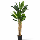 Bananenbaum Künstlich H: 160cm Finestgreen 