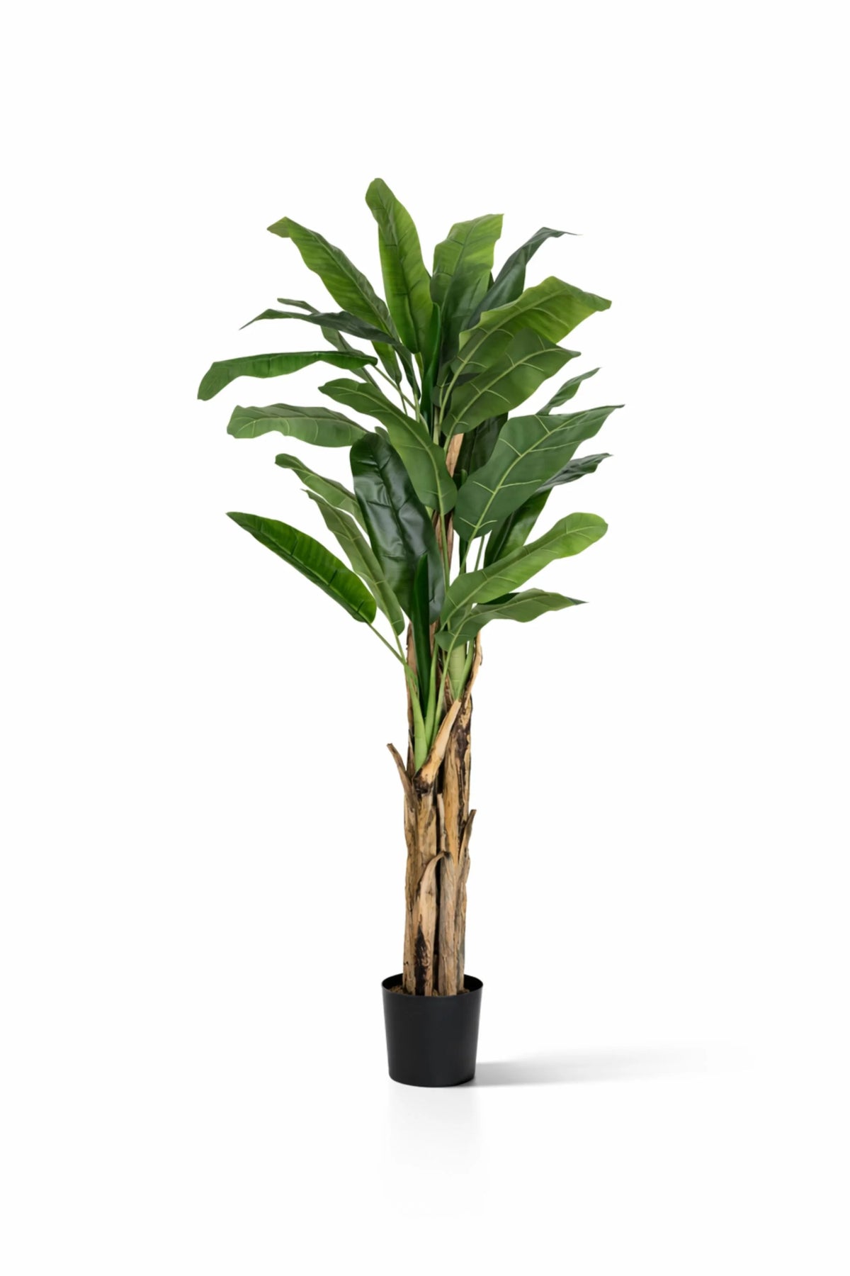bananen palme künstlich Bananenbaum Künstlich H: 205cm - Künstliche Pflanzen