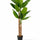 Bananenbaum Künstlich H: 220cm Finestgreen [mc]