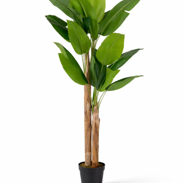 künstliche bananenpflanze Bananenbaum Künstlich H: 220cm - Künstliche Pflanzen