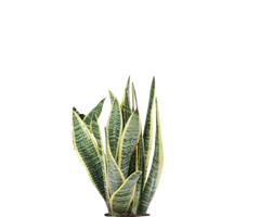 Konfigurator
