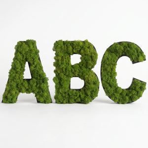 Buchstaben & Piktogramme