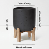 Charlie Black Washed Feet Low Größe M [v=M|ø21|ö16|h25.5|t16.5]