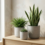 Charlie Grey Washed 3er Set Finestgreen 