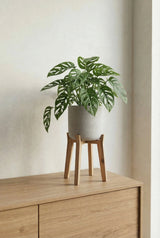 Charlie Grey Washed Feet High - Finestgreen || Abgebildete Größen: M