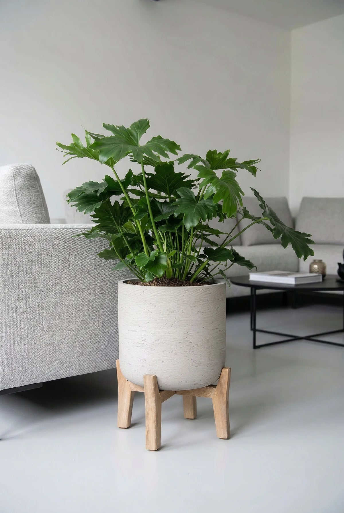 Pflanzkübel mit Holzfüßen aus Fiberclay – Charlie Grey Washed