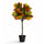 Codiaeum Wunderstrauch Künstlich H: 80cm Finestgreen [mc]