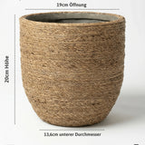 Cody Straw Gras Größe S [v=S|ø22|ö19|h20]