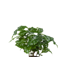 Konfigurator