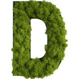 Islandmoos Piktogramm Buchstabe