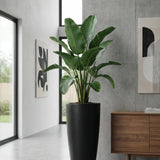 Dax Fiberstone Schwarz Finestgreen 