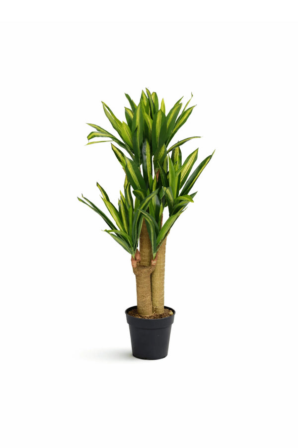 Dracaena Drachenbaum Künstlich H: 120cm