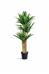 Dracaena Drachenbaum Künstlich H: 145cm