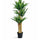 Dracaena Drachenbaum Künstlich H: 145cm - Finestgreen [mc]