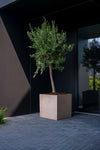 Block Fiberstone Taupe