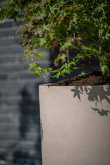 Max Fiberstone Taupe - Finestgreen
