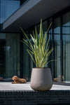 Pax Fiberstone Taupe
