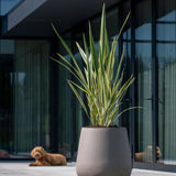 Pax Fiberstone Taupe - Finestgreen
