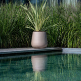Pax Fiberstone Taupe - Finestgreen