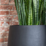 Pax Fiberstone Schwarz