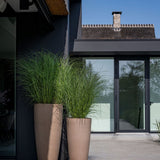 Dax Fiberstone Taupe - Finestgreen