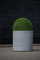 Jumbo Max Grau - Finestgreen