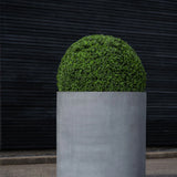 Jumbo Max Grau - Finestgreen