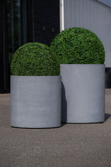Jumbo Max Grau - Finestgreen