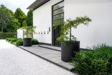Jumbo Max Schwarz - Finestgreen