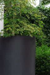 Jumbo Max Schwarz - Finestgreen