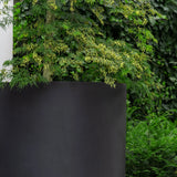 Jumbo Max Schwarz - Finestgreen