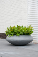 Pflanzschale Tara Grau aus Fiberstone – runde Schale Outdoor herbstlich bepflanzt