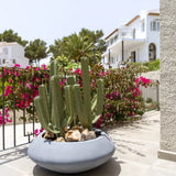 Pflanzschale Tara Grau aus Fiberstone – runde Schale Outdoor