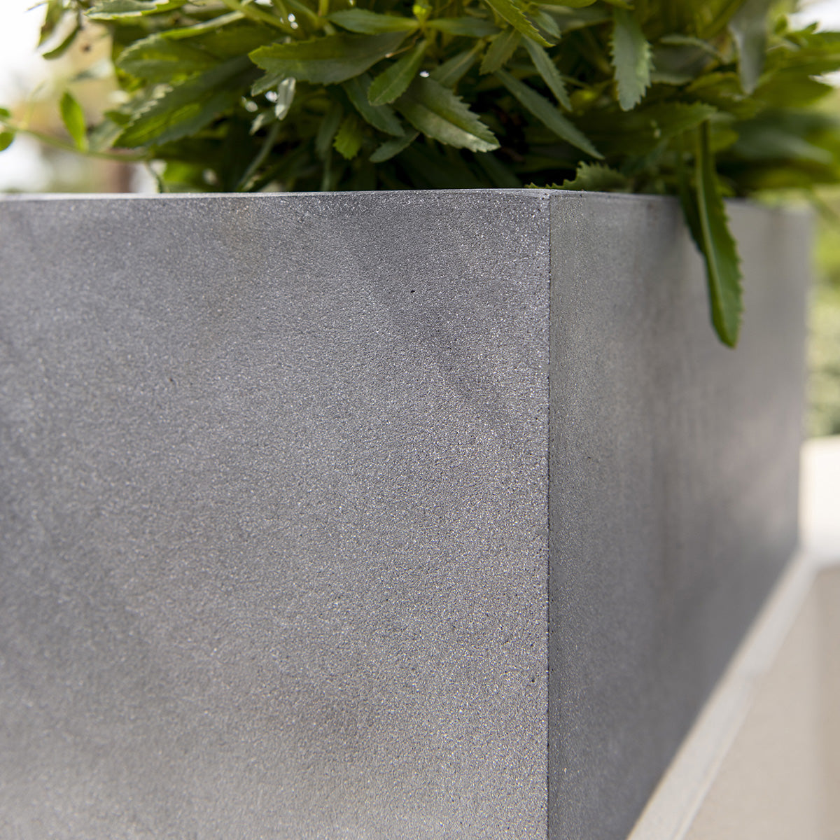 Nahaufnahme Fiberstone Pflanztopf Grau