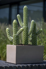 Kaktus Saguaro Künstlich - Künstliche Pflanzen