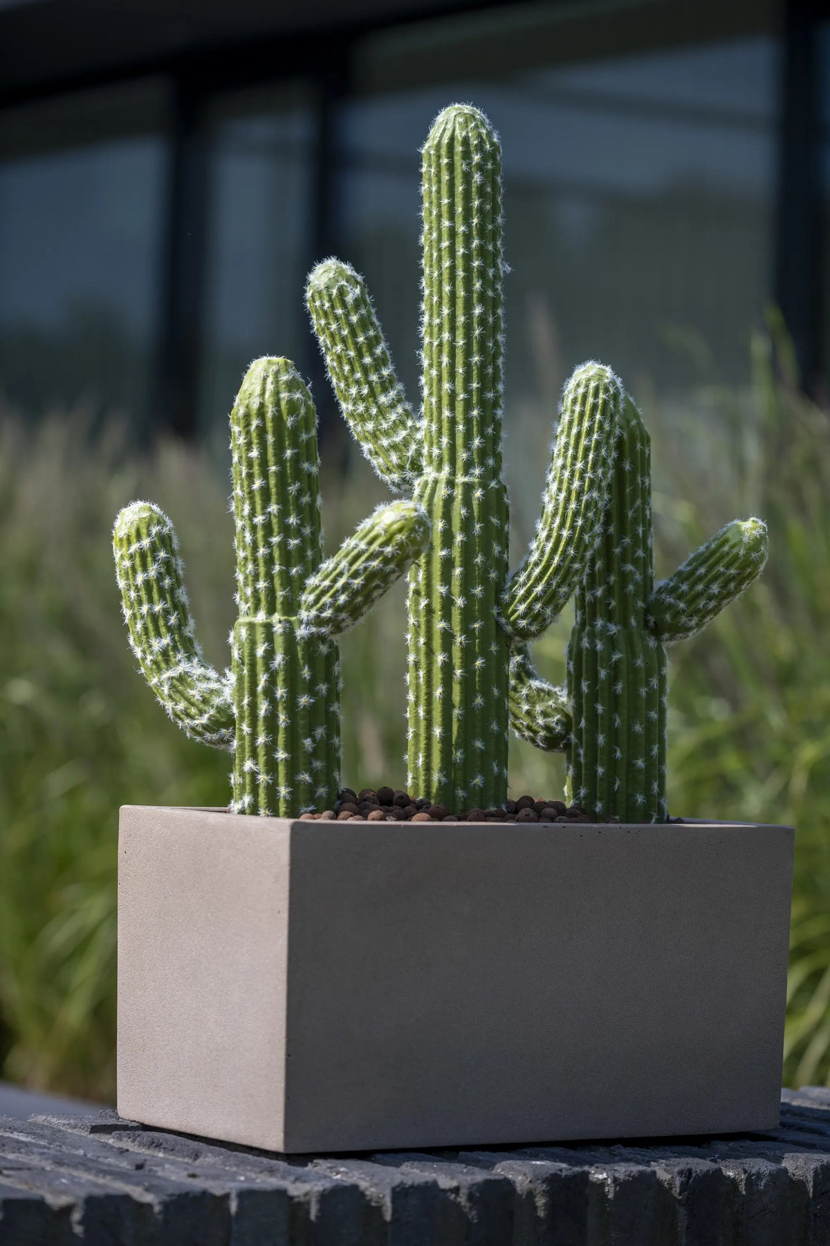 Kaktus Saguaro Künstlich - Künstliche Pflanzen