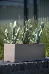 Kaktus Opuntia Künstlich H: 41cm - Finestgreen