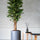 Ficus Baum Künstlich H: 150cm - Finestgreen