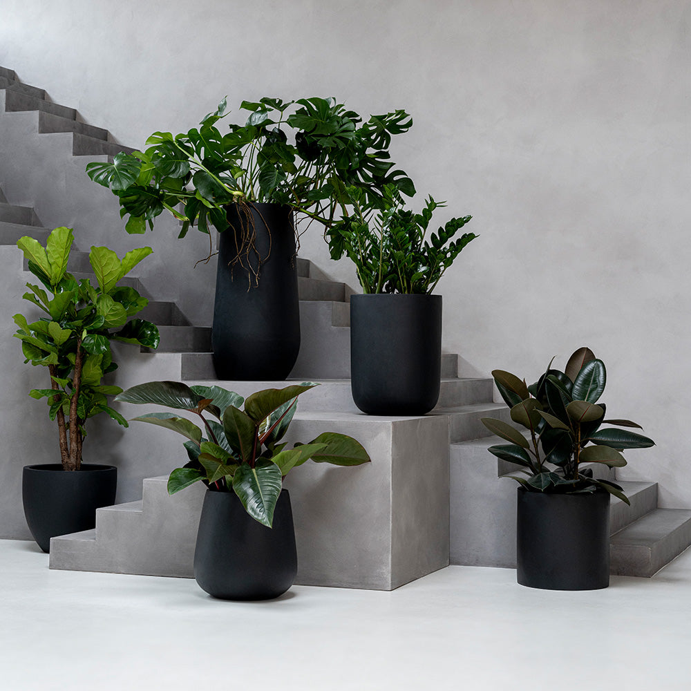 Fiberstone Pflanztopf Schwarz
