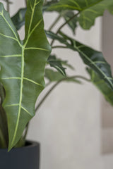Alocasia Taro Künstlich H: 120cm - Finestgreen