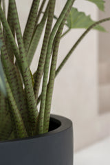 Alocasia Taro Künstlich H: 120cm - Finestgreen