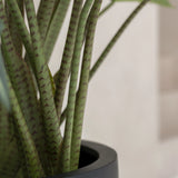 Alocasia Taro Künstlich H: 120cm - Finestgreen