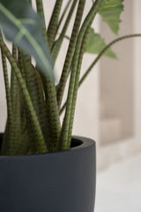 Alocasia Taro Künstlich H: 120cm - Finestgreen