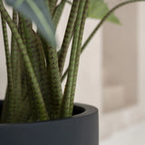Alocasia Taro Künstlich H: 160cm - Finestgreen