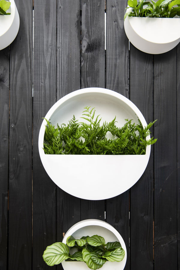 Hanging Wally Hochglanz Weiß